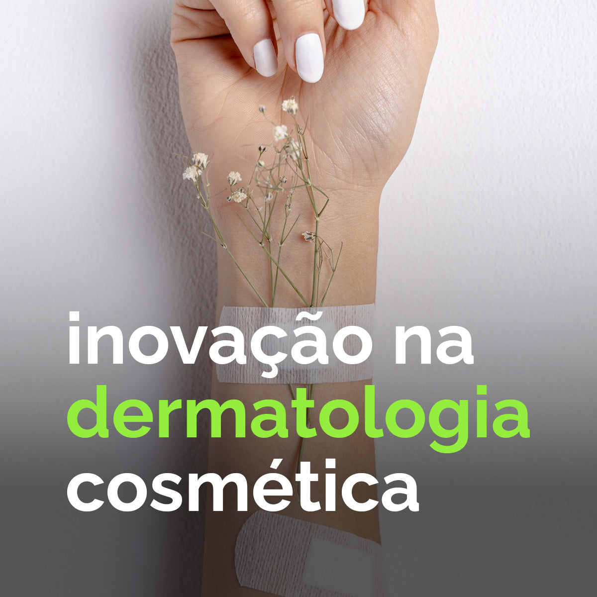 Linha Vegan - Kayoah
